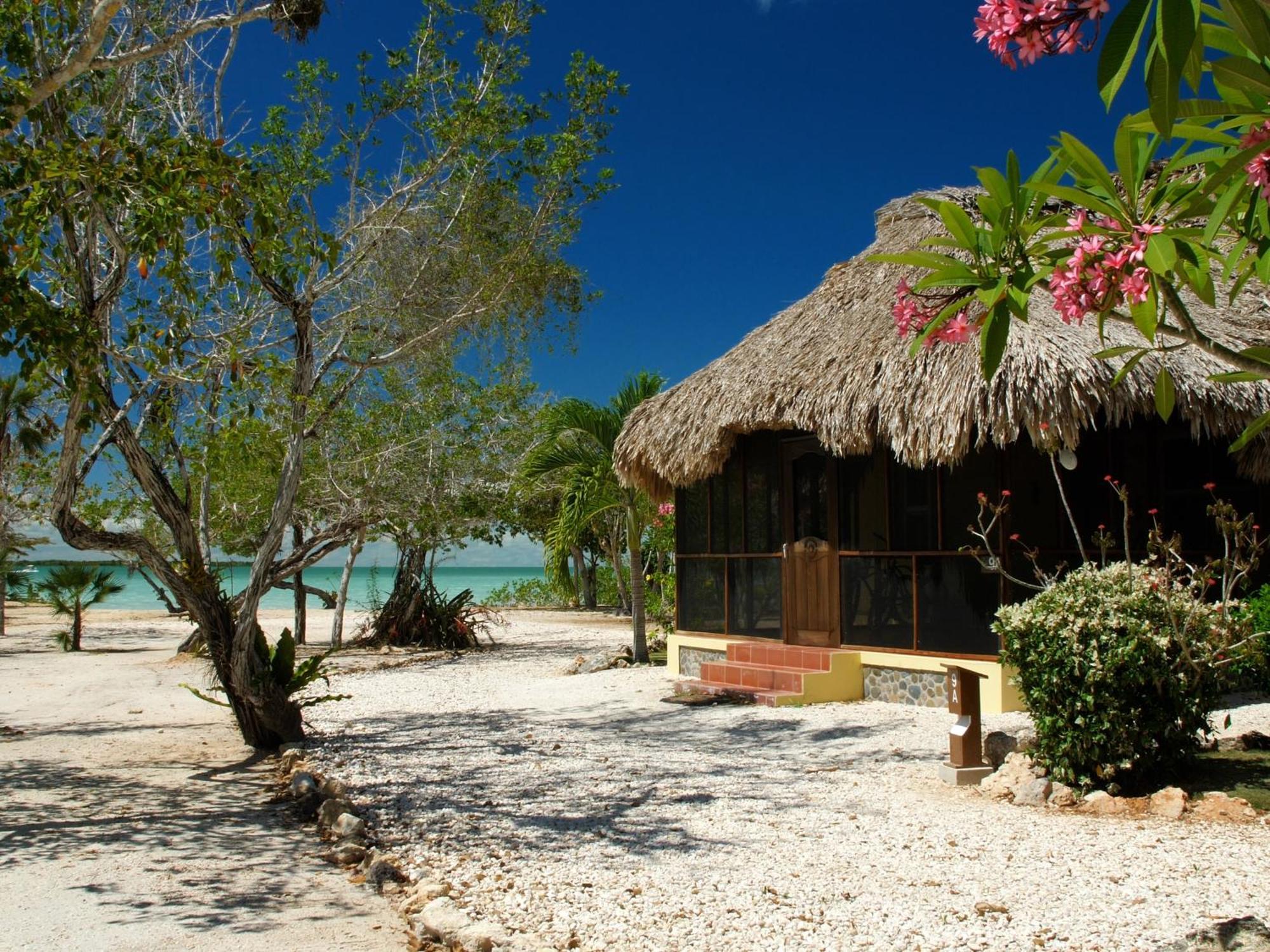 Orchid Bay Resort Corozal Habitación foto